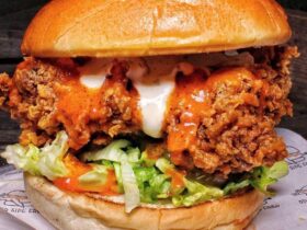 Buffalo Fried Chicken Burger(Novidades)