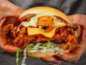 Fried Chick e Bacon Cheese Burger(Novidades)